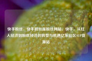 快手粉丝，快手粉丝涨粉丝网站，快手，从红人经济到粉丝经济的转型与机遇亿乐社区SUP货源站