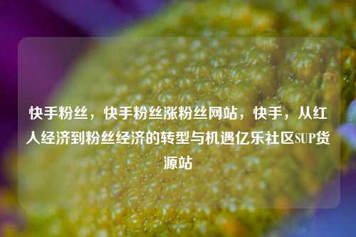 快手粉丝，快手粉丝涨粉丝网站	，快手，从红人经济到粉丝经济的转型与机遇亿乐社区SUP货源站  第1张